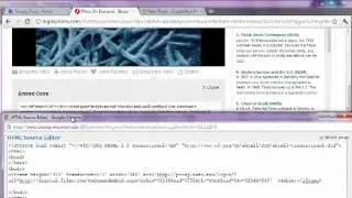 How to embed a video and google form in D2L