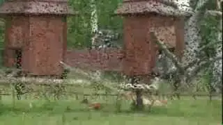 DOLINA CHARLOTTY mini ZOO