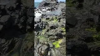 oleaje entre las rocas agua de mar playa almuñecar #shorts
