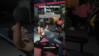 Fitnes Full Body Workout Day One