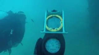 Rapid bay scuba dive - South Australia
