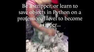 Write Python Code with Thicky Minaj To Spend Your Earnings | How To Save Python Object
