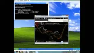 How to Use SSLStrip to Obtain Secure Passwords
