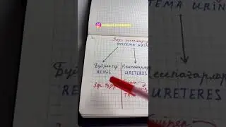 ЗӘР ШЫҒАРУ ЖҮЙЕСІ ҚҰРЫЛЫСЫ 🔥 #anatomy #motivation #science #rek