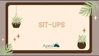 Sit Ups