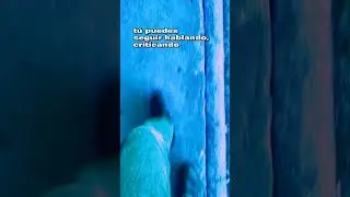 Los que hablan, normalmente van detrás