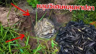 แทบไม่เชื่อสายตา!! หลุมวิเศษหลุมหาปลา หมานคักขนาด