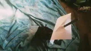 Пираты осенним днём...