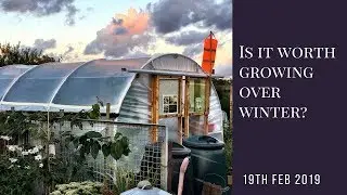 Is it really worth growing veg over winter?