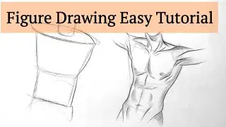Anatomy Sketch | Male Chest drawing | Human Figure drawing lessons  easy step by step  for beginners