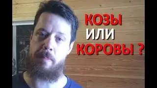 Козы или коровы! Война миров!! (Понедельник с подписчиками)