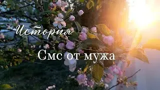 История. Муж написал смс...