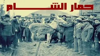 قصة حمار سوريا | اللهو الخفي