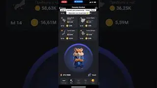 ТГ - lolali_farm - для начинающих *фармим на позитиве #хомяк #крипта #тон нот #notcoin #ton #hamster