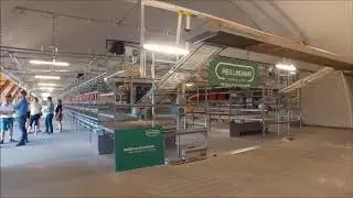 Aviary Pro11 Hellmann Poultry Equipment