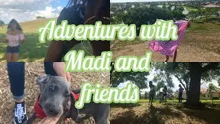picnic with friends