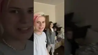 Чем занимаются в dream team house