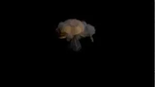 Blender 2.63 - Smoke Explosion