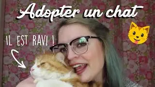 Animaux | Tout ce qu'il faut savoir avant d'adopter un chat (coût, materiel, etc)