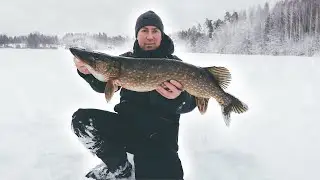 Трофей на глубине 30 см под лункой. Как вмещаются эти здоровые щуки!? Рыбалка в Финляндии.