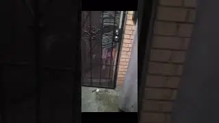 Door dash customer caught red-handed lying about not getting their food!