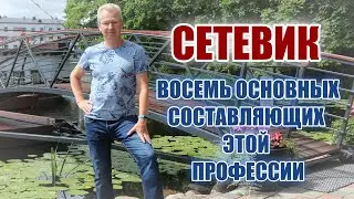 Сетевик  Восемь основных составляющих этой профессии