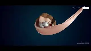 Elastic Man