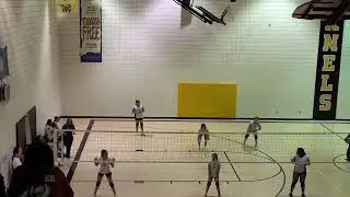 Amira vb 3