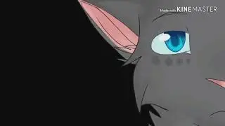 Supernatural -коты воители♡ , скоро 100 пдписчиков