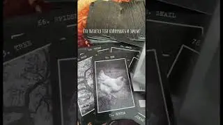 Кто пытается тебя копировать и зачем? #магия #rinacheray #таро #таролог #tarot #гадание