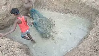 viral fish meen