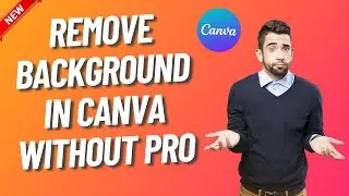 How to Remove Background in Canva Without Pro (Updated)