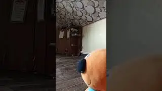 мама купи мне пельмешки #wtf #shortvideo #ахахаха