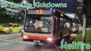 [SMRT]Hellfire ZF Kickdowns - SMB140P On 75 - MB O530 CITARO