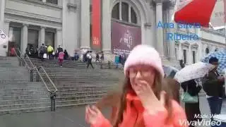 NY /  Museu metropolitano de Nova York
