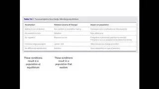 The Hardy-Weinberg Equilibrium