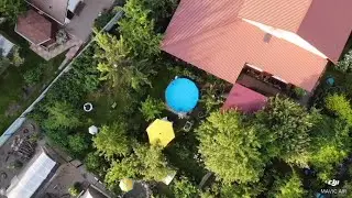 family gatherings / HE FLEW AWAY, BUT PROMISED TO RETURN!!!