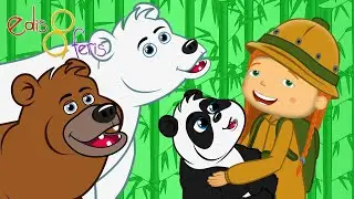 Kutup Ayısı Panda ve Boz Ayı | Yeni Şarkı | Edis ile Feris Çizgi Film Çocuk Şarkıları Videoları