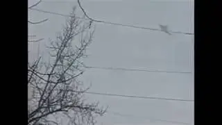 Мой фильм  МУРАХВОСТАЯ