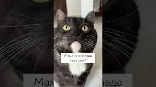 Сыночка 🥹🙈 