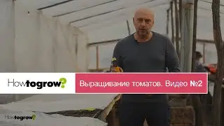 Посев семян томатов на рассаду. Видео 2
