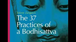 37 Practices of a Bodhisattva by Tokme Zangpo