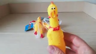 Курица пищалка
