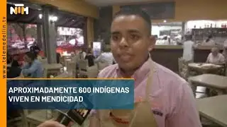 Aproximadamente 600 indígenas viven en mendicidad - Telemedellín