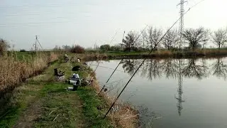 Рыбалка на Карася и Сазанчика