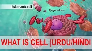Introduction to Biology | what is cell in Urdu Hindi | Cells and Organelles | YT Academy