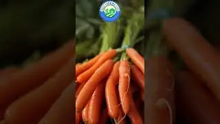 🥕 Carrots benefits: Good eyesight & nutritious #farming #carrot #shorts