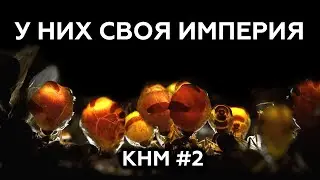 КАКИЕ БЫВАЮТ МУРАВЬИ? Курс начинающего мирмикипера #2