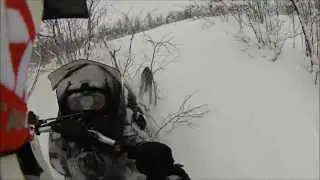 arctic cat m800 vs summit xm 800