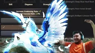 Black Desert [BDO] 2.4% Dream Horse Awakening / Tier 9 Horse Awakening |( SEA / INA )
